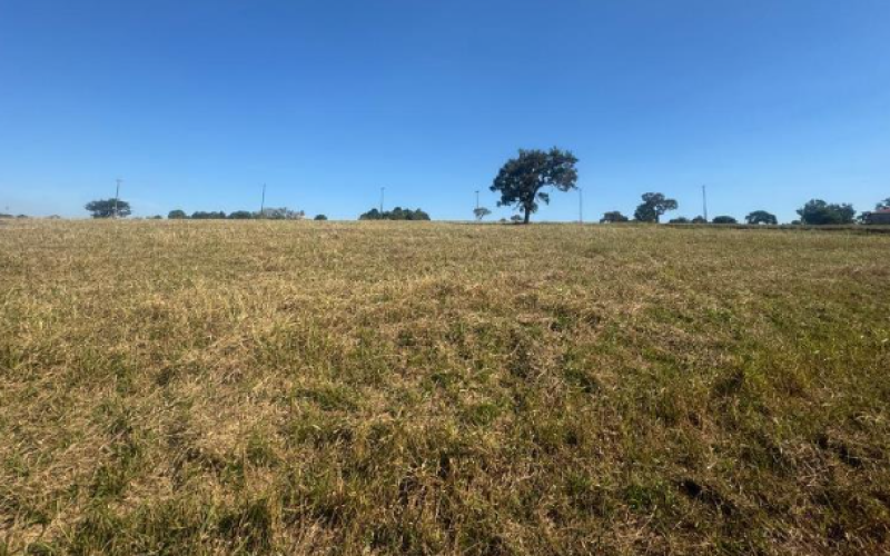 Captura de tela 2026-06-08 130218