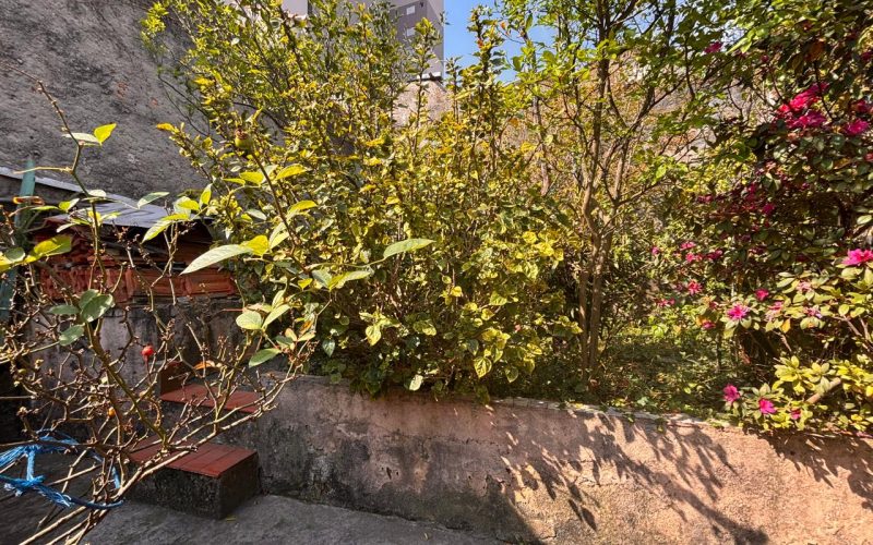 Imóvel-COD-10821-16