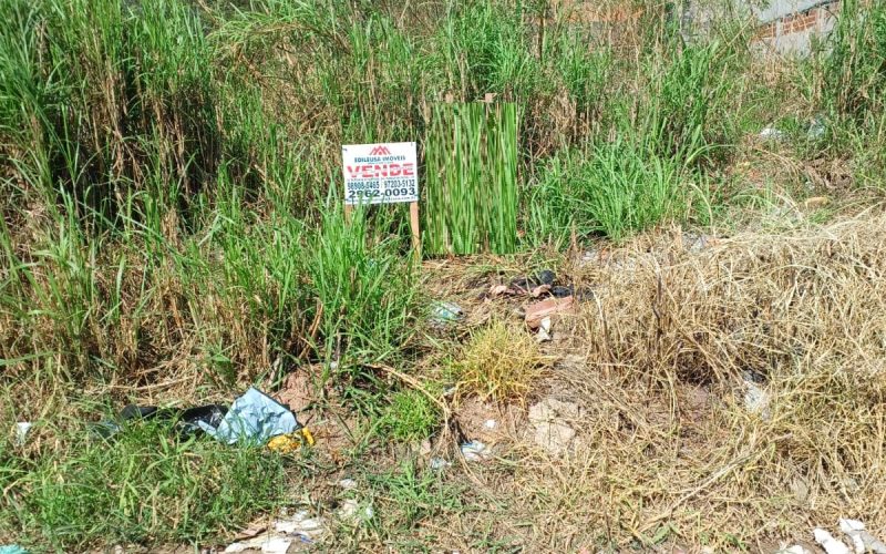 WhatsApp Image 2025-09-29 at 15.12.00 (1)