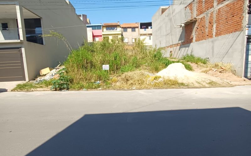 WhatsApp Image 2025-09-29 at 15.12.00