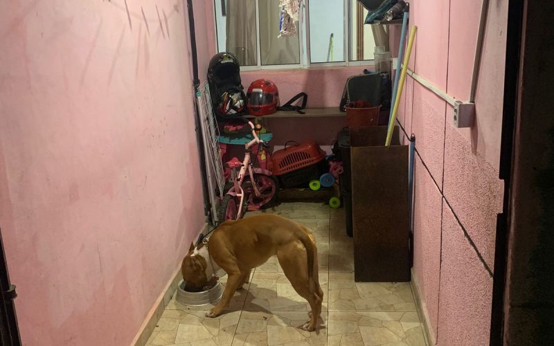 WhatsApp Image 2025-10-23 at 12.30.59 (2)