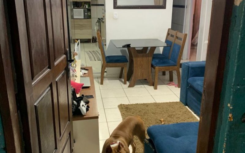 WhatsApp Image 2025-10-23 at 12.30.59