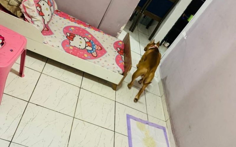 WhatsApp Image 2025-10-23 at 12.31.00 (1)