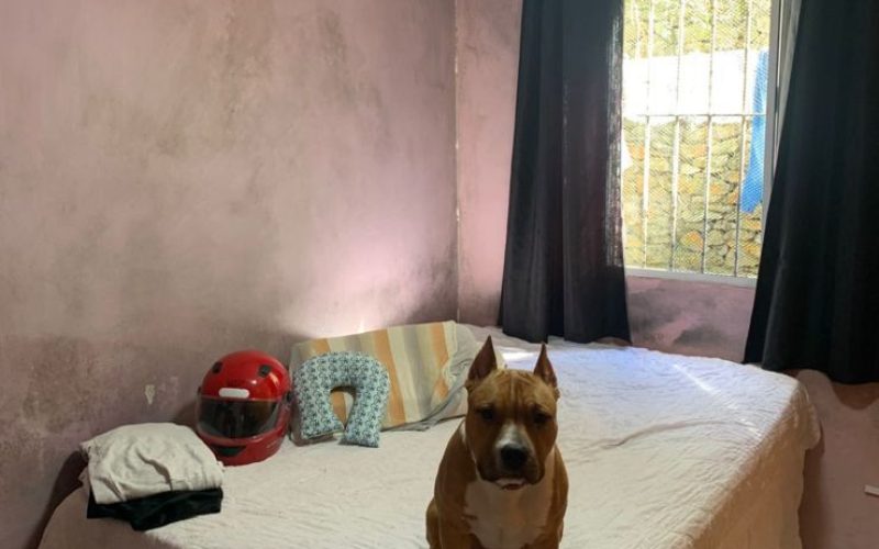 WhatsApp Image 2025-10-23 at 12.31.00 (4)