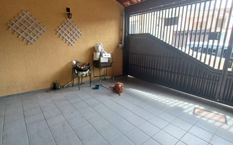 WhatsApp Image 2025-11-03 at 14.49.42