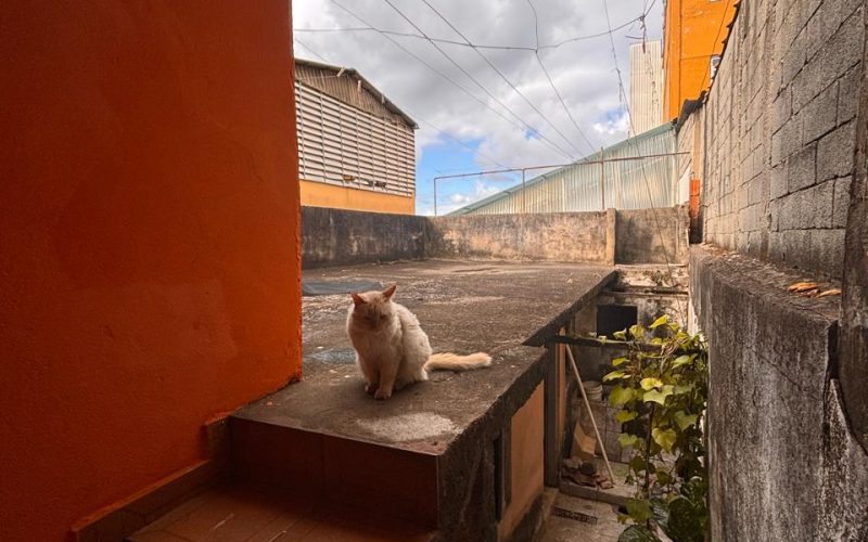 WhatsApp Image 2025-11-06 at 13.24.13 (15)