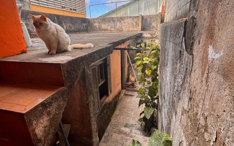 WhatsApp Image 2025-11-06 at 13.24.13 (16)