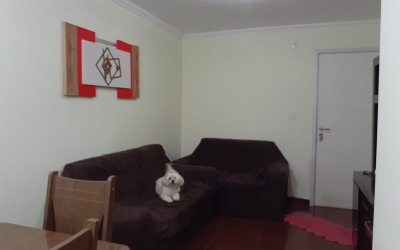 WhatsApp Image 2025-12-04 at 14.15.14 (1)