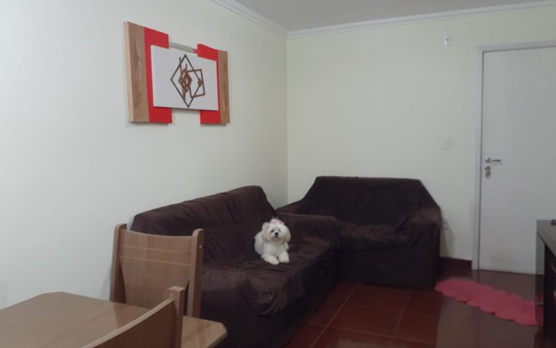 WhatsApp Image 2025-12-04 at 14.15.16 (2)