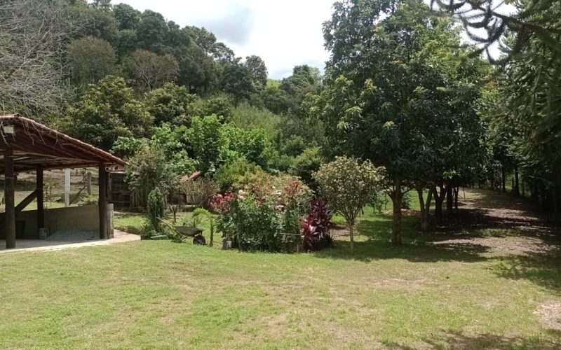 WhatsApp Image 2026-01-23 at 11.28.41