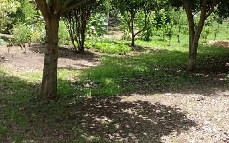 WhatsApp Image 2026-01-23 at 11.28.42 (2)