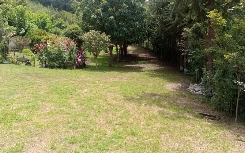 WhatsApp Image 2026-01-23 at 11.28.43 (1)