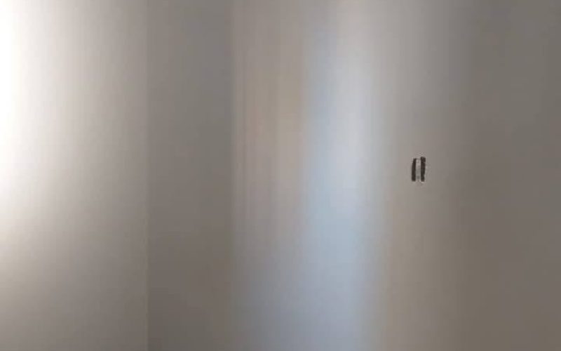 WhatsApp Image 2026-02-18 at 10.50.06 (1)