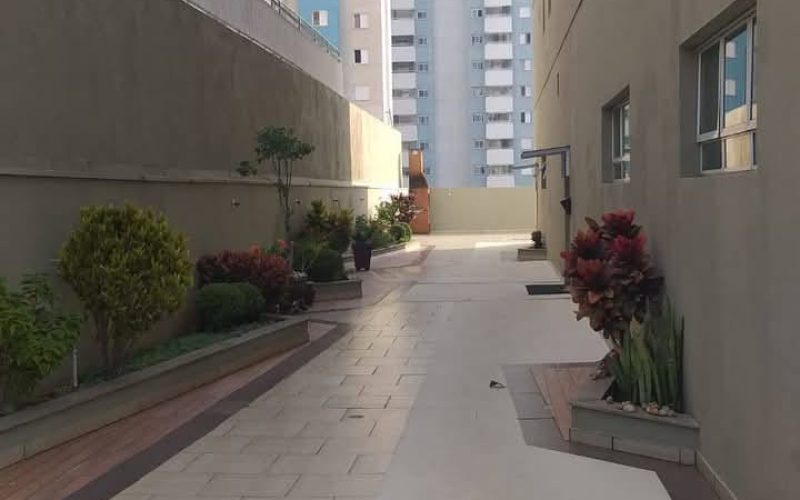 WhatsApp Image 2026-02-18 at 10.50.15