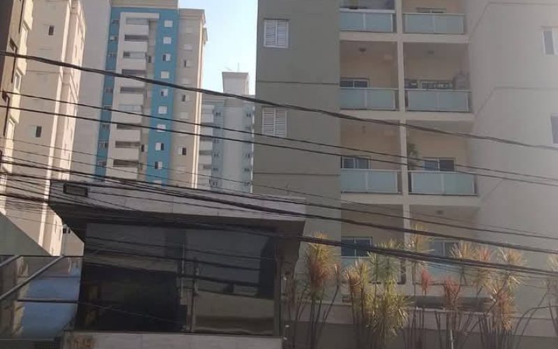 WhatsApp Image 2026-02-18 at 10.50.20