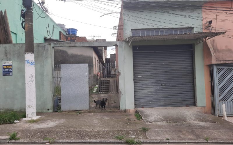 WhatsApp Image 2026-02-18 at 15.55.34