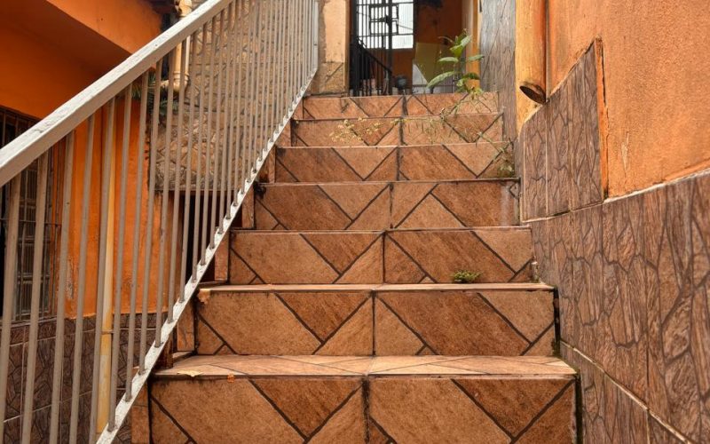 WhatsApp Image 2026-02-25 at 15.51.58 - Copia