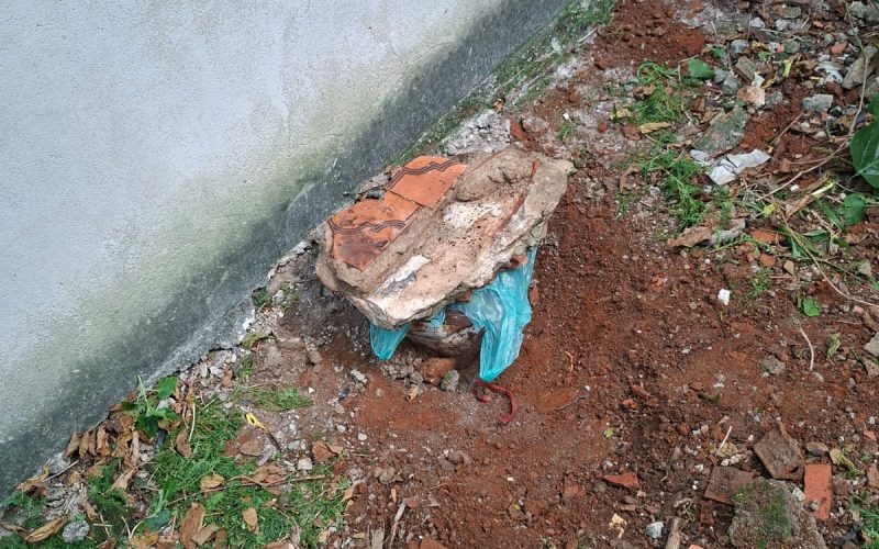 WhatsApp Image 2026-02-25 at 16.50.50