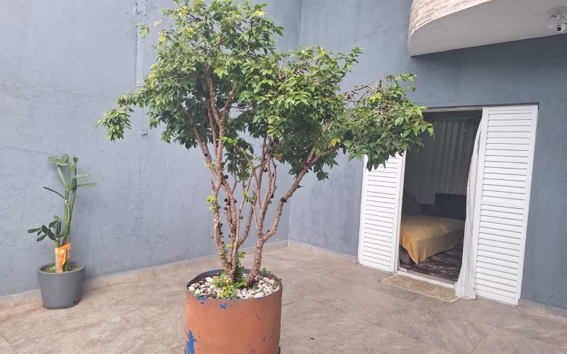 WhatsApp Image 2026-03-02 at 14.29.59 (4)