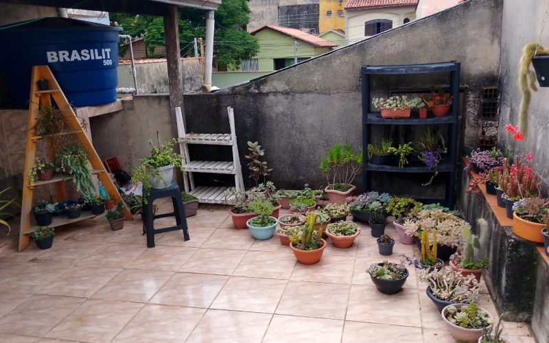 WhatsApp Image 2026-03-09 at 12.09.19